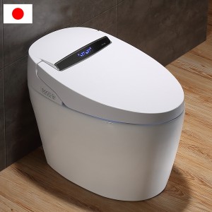 Starlink Fully Functional Smart Toilet na may display