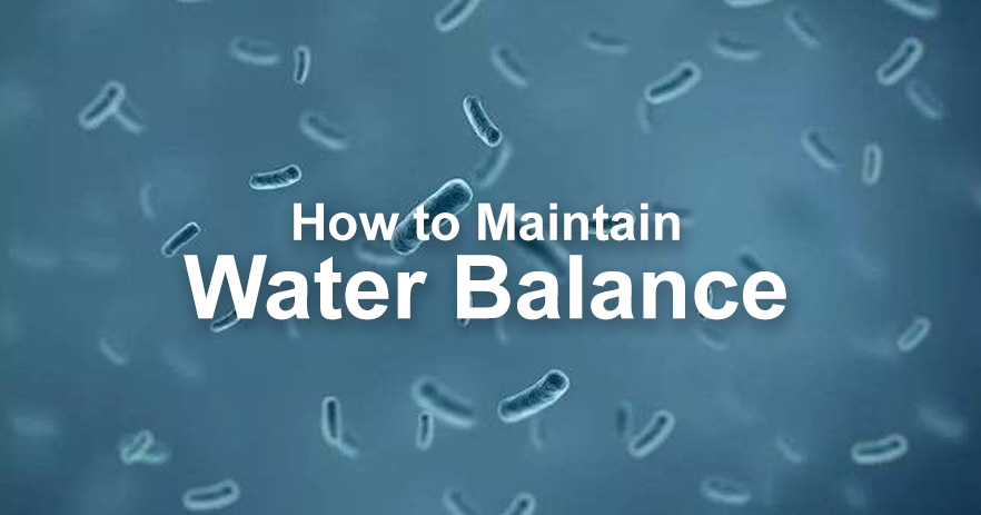 Nejlepší průvodce, jak udržovat vodní rovnováhu