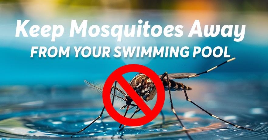 သင့်ရေကူးကန်မှ ခြင်များ ကင်းဝေးစေရန် ထိရောက်သော နည်းလမ်း ၅ ခု