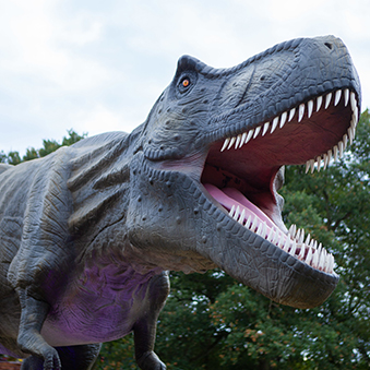 T-rex Dinosaur Model