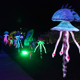Jellyfish sculpture