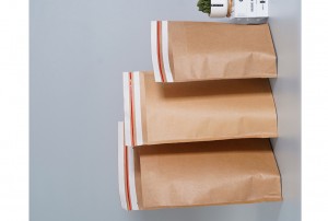 Compostable Paper Mailers