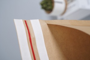 Compostable Paper Mailers