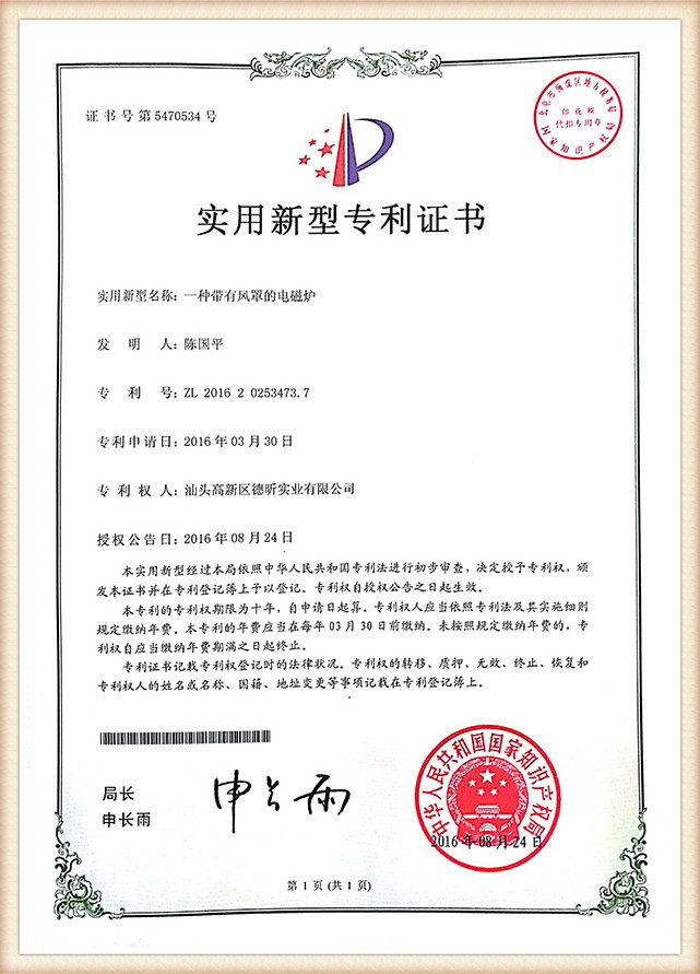 Utility Model Patent Certificate (15)