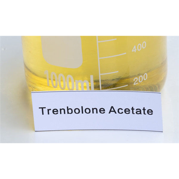 Anabolic Steroid Trenbolone Acetate for Muscle Growth CAS c Featured Image