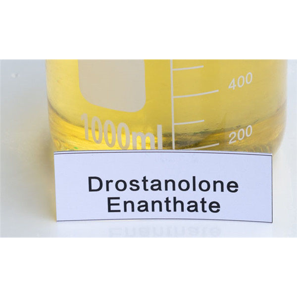 Muscle Building Steroid Powder Trenbolone Enanthate CAS 472-61-5