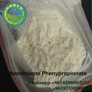 Pharmaceutical Hormone Raw Material Anadro-L Raw Powder Nandrolone Phenypropionate Steroid White Powder Fitness Weight Loss