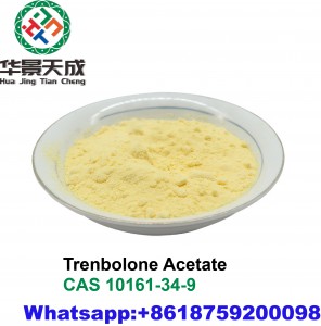 99% Purity Trenbolone Acetate Powder Tren Acetate Steroid  For Muscle Growth CasNO.10161-34-9