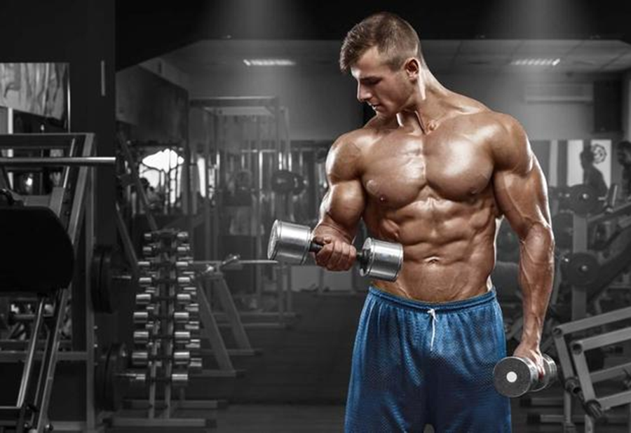 How do bodybuilders build muscle scientifically These 5 tips will help you get in shape faster.