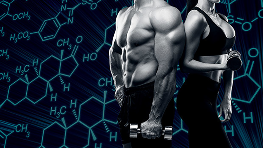 Anabolism: The Truth about SARMS