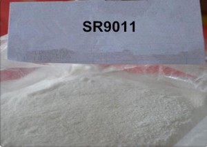 High Quality New Androgens SR9011 Sarm Powder CasNO.1379686-29-9 for Body Building