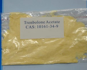 Trenbolone Acetate Androgenic Anabolic Steroids Bodybuilding Cutting Cycle Fat Loss Tren A CasNO.10161-34-9