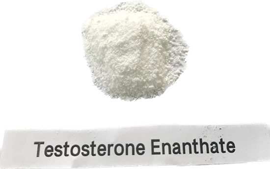 Testosterone enanthate/Test en Raw Steroids powder for muscle growth