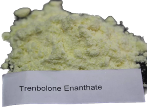 Muscle building steroids powder Tren Enanthate/Tren E for lean gain