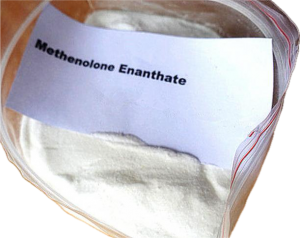 Methenolone Enanthate Primobolan En raw powder for Gaining Strength