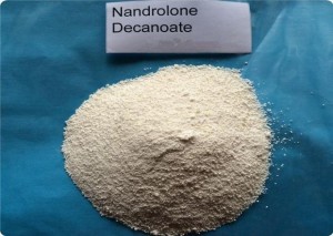 Darobolin Deca CasNO.360-70-3/DECA Anabolic Steroids Nandrolone Decanoate Powder