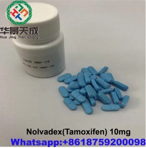 Nolvadex 10mg Tablet Injectable Anabolic Steroids White Tamoxifen Citrate 100pcs/bottle