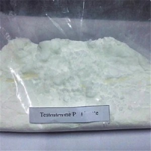Testosterone Test Prop Powder Anabolic Steroid Testosterone Propionate Powder CasNO.57-85-2