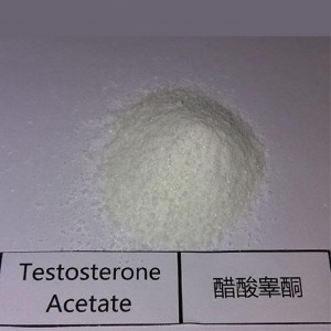 High Quality Short Ester Testosteron Powder Testosterone Acetate (Test A) Powder CasNO.1045-69-8