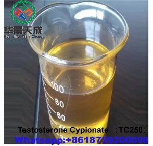 Testosterone Cypionate Powder Oil Liquid 250mg Vial Storage China Test Cyp 250mg/ml