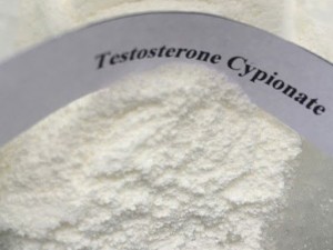 Pure 99.9% Testosterone Raw Powder For Losing Weight Testosterone Cypionate CAS 58-20-8