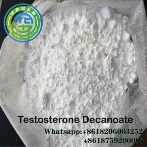 Anabolic Steroid Testosterone Decanoate /Test Decanoate Raw Powder for Weight Loss CAS:5721-91-5