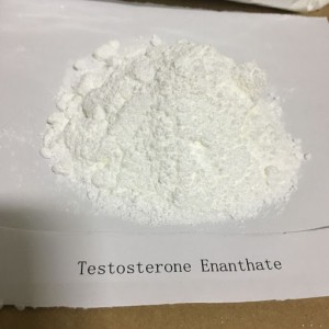 99% Purity Testosterone Enanthate Powder Test Enanthate For Muscle Growth CAS 315-37-7