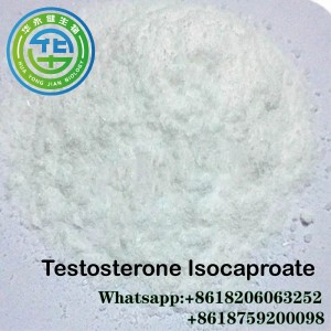 99% High Quality Testosterone Isocaproate/Testosterone Iso raw powder for muscle and strength loss