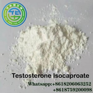 99% High Quality Testosterone Isocaproate/Testosterone Iso raw powder for muscle and strength loss