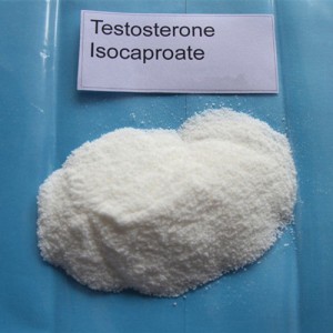 Testosterone Isocaproate Raw material powder Test I Steroid Hormone Testosterone Iso for Bodybuilding CAS 15262-86-9