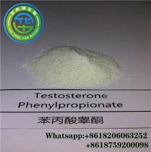 Testosterone Phenylpropionate Test Phenylpropionate Steroid Hormone For Muscle Building CasNO.1255-49-8