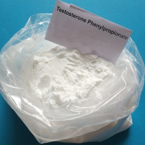 Testosterone Phenylpropionate Powder Muscle Building Injectable Anabolic TPP Steroids CasNO.1255-49-8