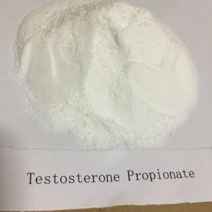 Testosterone Semi-Finished Oil Test Prop Raw Powder Testosterone Propionate for Musclegains