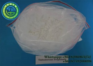 Original Factory Test Undecanoate Raw Powder - Testosterone Test Prop Powder Anabolic Steroid Testosterone Propionate Powder CasNO.57-85-2 – Hjtc