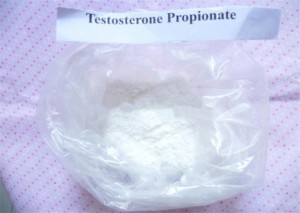 Testosterone Semi-Finished Oil Test Prop Raw Powder Testosterone Propionate for Musclegains