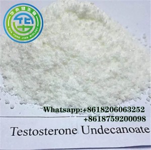 Testosterone Undecanoate Raw Steroid White Powder Test U CAS 5949-44-0  For Body Building