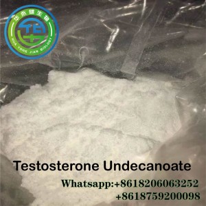 Testosterone Undecanoate/Test U Raw powder For Muscle Bone Strength Cycle CAS 5949-44-0