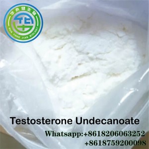 Competitive Price for Testosterone Propionate Raw Powder - Perfect Quality and Fast Shipping Testosterone Undecanoate Raw Powder Steroids Hormones for Bodybuilding – Hjtc
