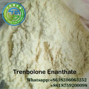 Tren E steroids powder Trenbolone Enanthate Powder Purity 99% Min or Injectable Parabolan steriods trenbolone CasNO.472-61-5