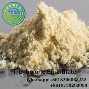 Tren E Anabolin Trenbolone Powder Trenbolone Enanthate Tren enanthate steroids powder CasNO.472-61-5