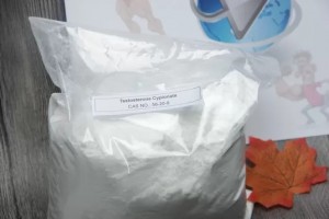 CAS 58-20-8 Testosterone Raw Steroid White Powder Test Cyp For Body Building