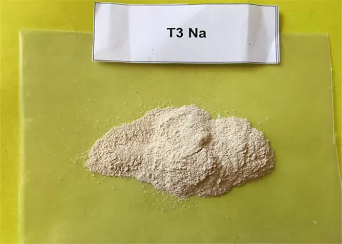 China Cheap price Testosterone Phenylpropionate - Potent Glucocorticoid Steroids Liothyronine/T3/3,3′,5-triiodo-L-thyronine liothyronine sodium weight loss CasNO.55-06-1 – Hjtc