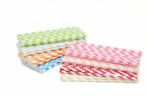 Red & White Striped Paper Straw 8 Inch