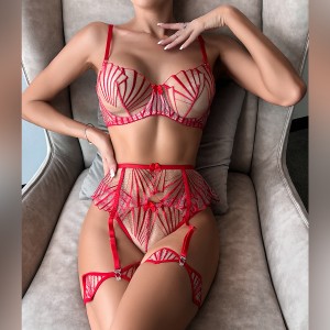 Mesh See-through Women’s Split Underwear Set  Bedroom Costume Sex Bra