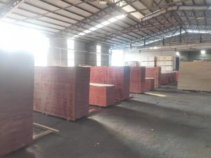 New Delivery for Marine Plywood For Boats - Finger Joint core plywood brown film for SA 610*2440*18mm – SULONG