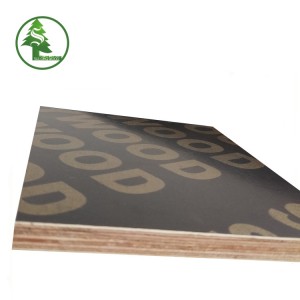 Birch core plywood 4*8 Brown face/back from Sulong Wood