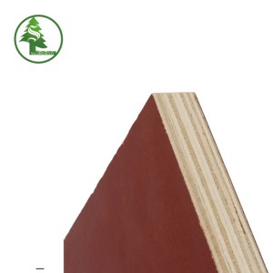 Popar film faced plywood from direct factory Sulong Wood.