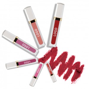 Custom luxury lip gloss base private label lipgloss cosmetics private label -003
