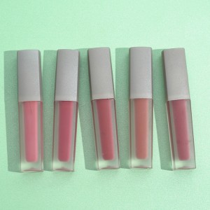 OEM 10 color small square tube velvet matte long lasting moisturizing lip glaze lipstick lip gloss lip mud-CC0013