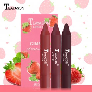 3 Colors Set Matte Lipstick Pen Pigment Nutritious Velvet Glossy Lip Sexy Waterproof Red Lip Tint Lasting Color Women Fashion Makeup DYS-01